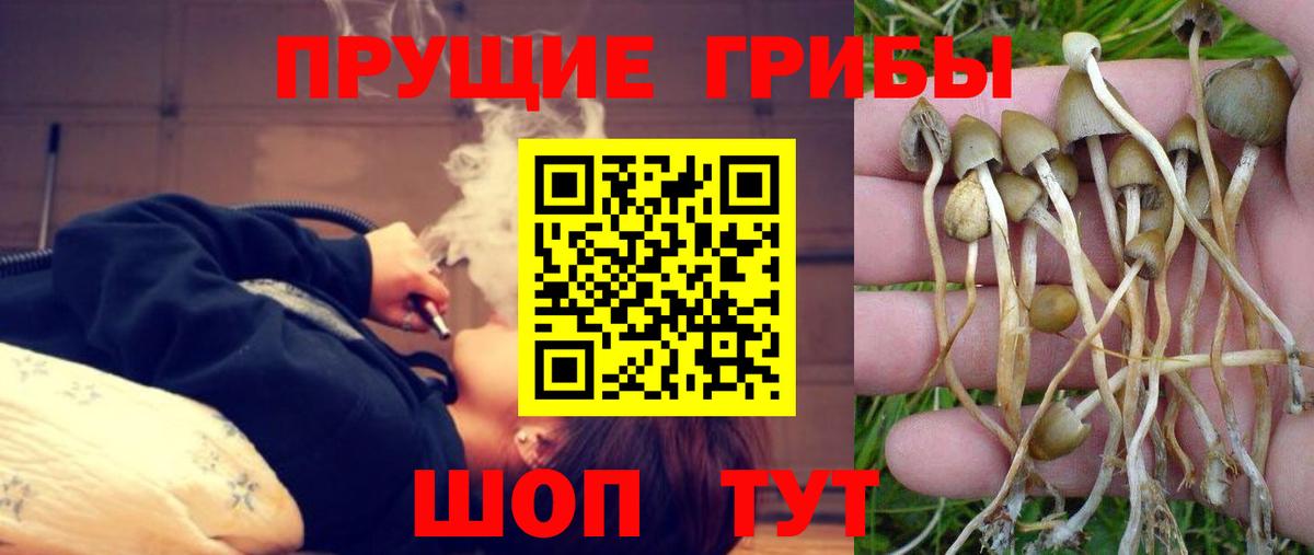 Галлюциногенные грибы мухоморы  Вход с VPN  купить   Среднеуральск 